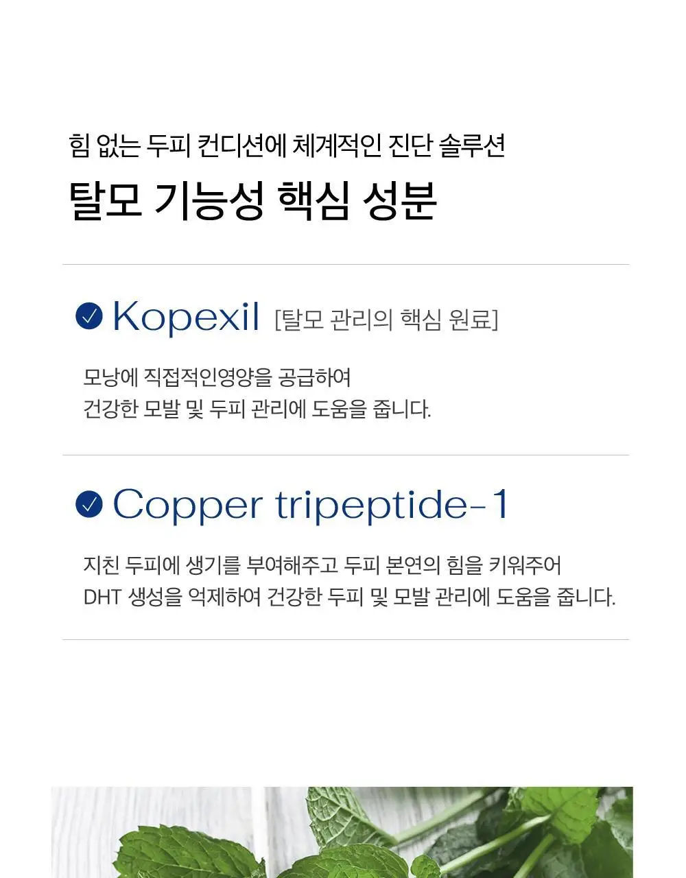 [탈모증상완화 기능성/두피영양제]LBB 미라클 헤어 토닉 100ml 상세페이지 13